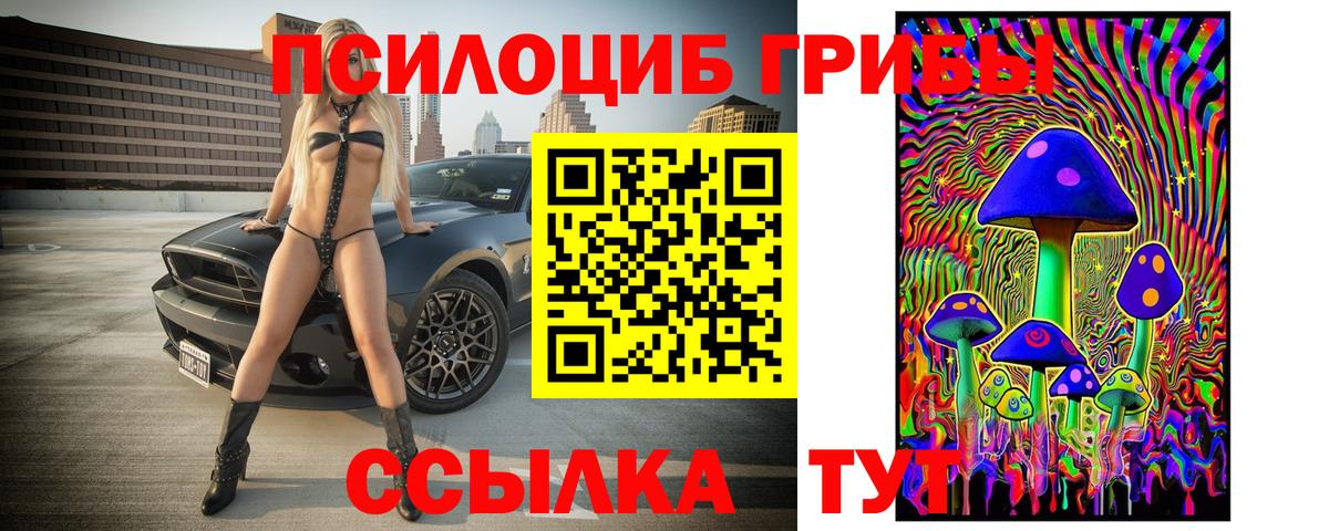 Псилоцибиновые грибы мицелий  Псилоцибиновые грибы Magic Shrooms  дарнет шоп  Вход с VPN  Ульяновск 